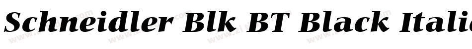 Schneidler Blk BT Black Italic字体转换